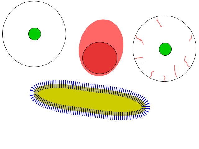 Clickable drawing: anywikitest.adraw Clickable drawing: anywikitest.adraw